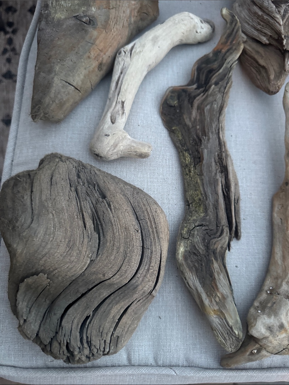 Natural Pacific Northwest Collected Beach Driftwood Decorative Accents 15 pcs - Picture 2 of 12